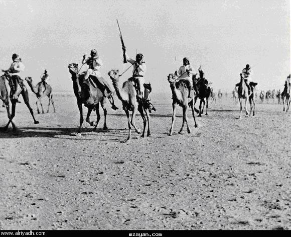 نقره لعرض الصورة في صفحة مستقلة