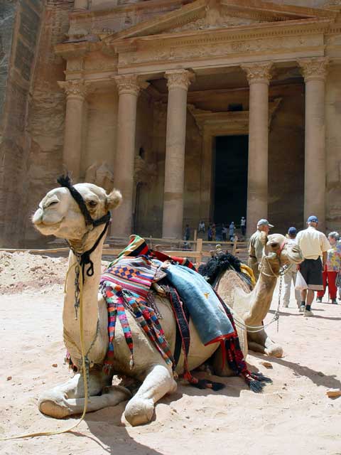 نقره لعرض الصورة في صفحة مستقلة