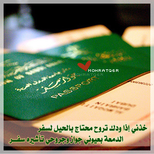 2025b5985bd1be39877f52f3c2118ed9.jpg