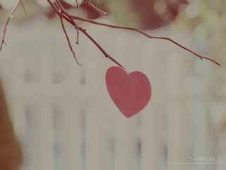 8d610bc7a16da6abb81d779c2537ffde.jpg