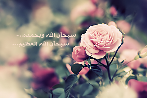 28e96b98140532c0847ffb61462de452.png