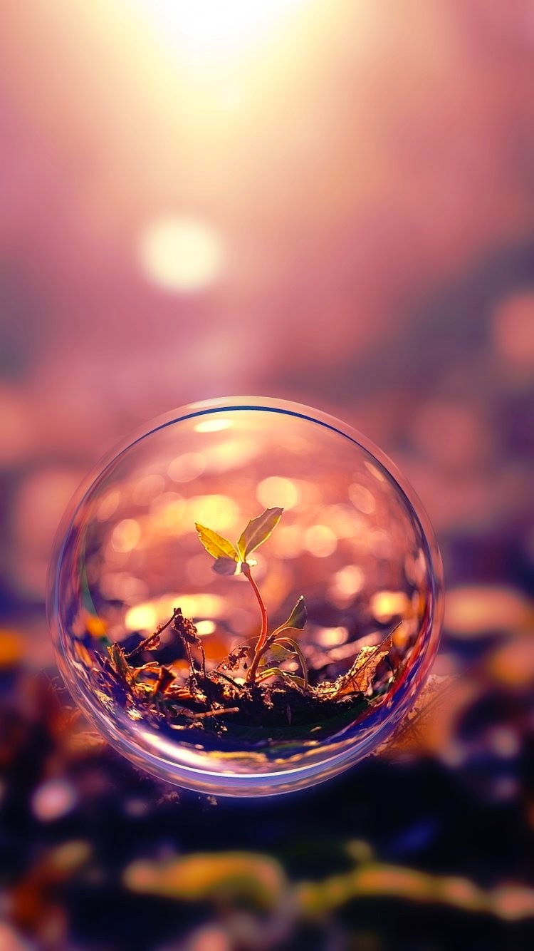 أحدث خلفيات عالية الدقه 2015 bntpal_1426302357_66