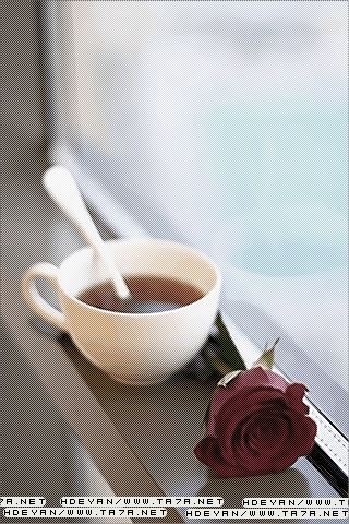 القهوه انثى مخلصه وانيقه ولاتخذلك bntpal_1450245965_62
