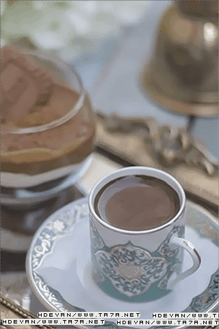 القهوه انثى مخلصه وانيقه ولاتخذلك bntpal_1450245971_56