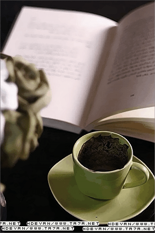 القهوه انثى مخلصه وانيقه ولاتخذلك bntpal_1450245972_46