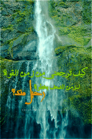 الأقرب قلبك يسمع صمتك تصرخ