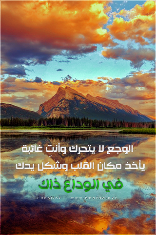 الأقرب قلبك يسمع صمتك تصرخ