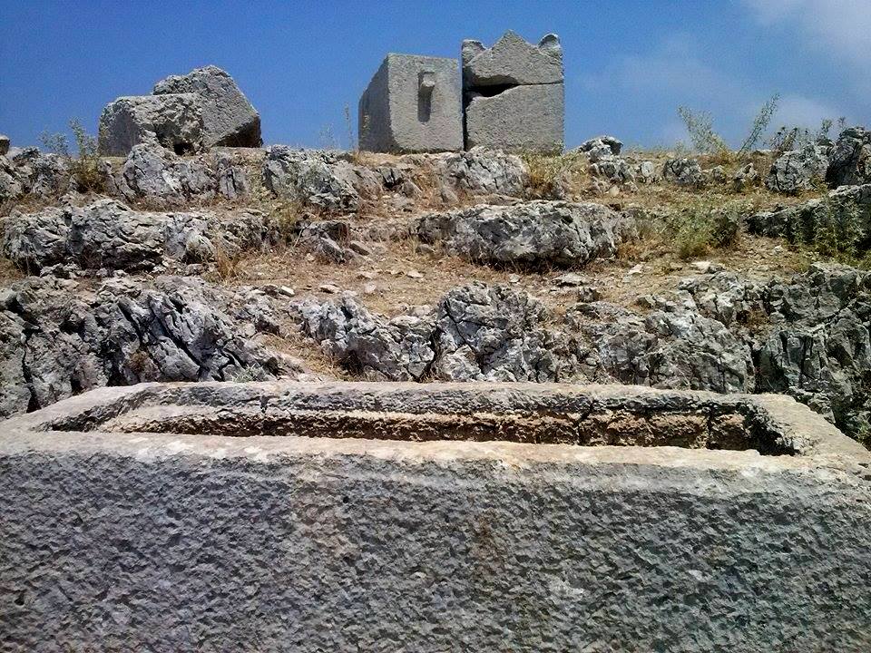 نقره لعرض الصورة في صفحة مستقلة