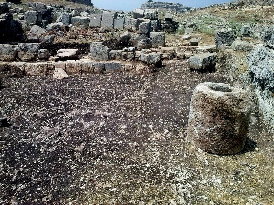 نقره لعرض الصورة في صفحة مستقلة