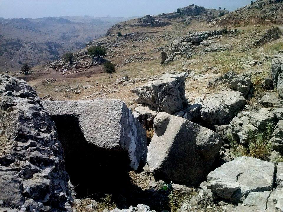 نقره لعرض الصورة في صفحة مستقلة