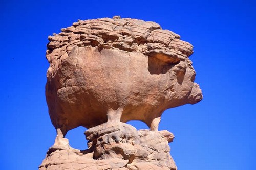 نقره لعرض الصورة في صفحة مستقلة