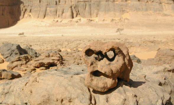 نقره لعرض الصورة في صفحة مستقلة