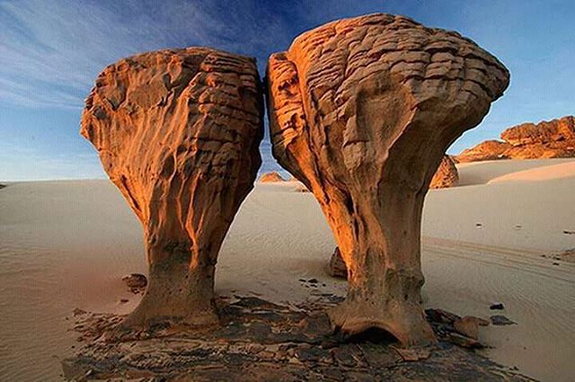 نقره لعرض الصورة في صفحة مستقلة