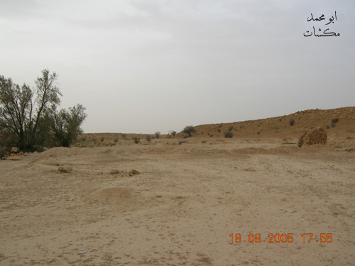 نقره لعرض الصورة في صفحة مستقلة