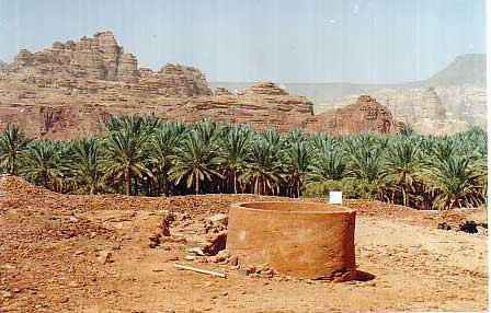 نقره لعرض الصورة في صفحة مستقلة