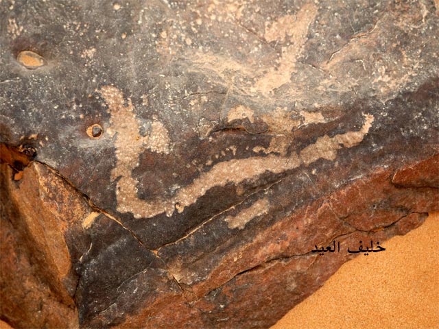 نقره لعرض الصورة في صفحة مستقلة