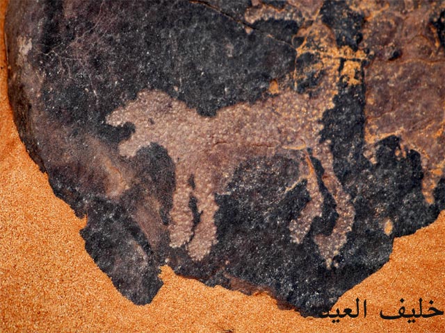 نقره لعرض الصورة في صفحة مستقلة