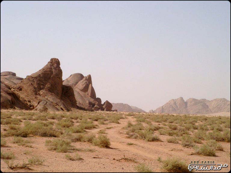 نقره لعرض الصورة في صفحة مستقلة