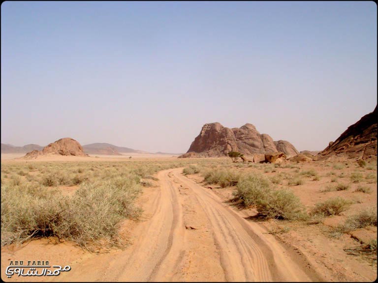 نقره لعرض الصورة في صفحة مستقلة