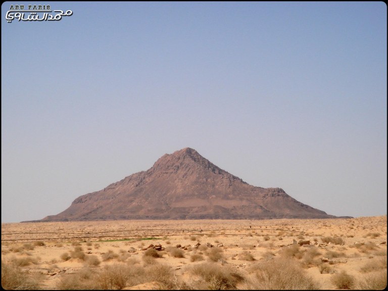 نقره لعرض الصورة في صفحة مستقلة