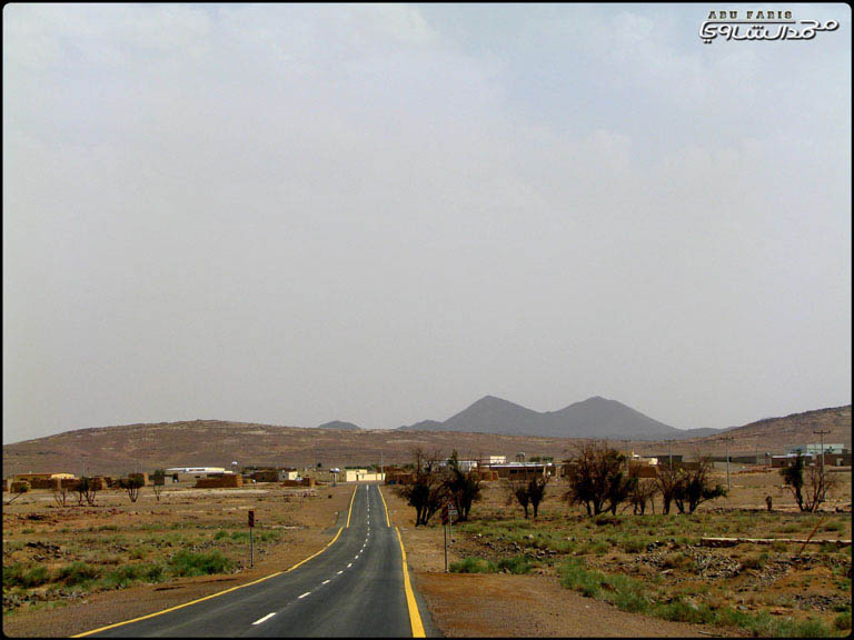 نقره لعرض الصورة في صفحة مستقلة