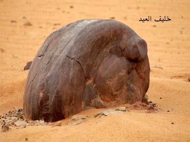 نقره لعرض الصورة في صفحة مستقلة
