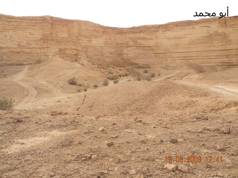 نقره لعرض الصورة في صفحة مستقلة