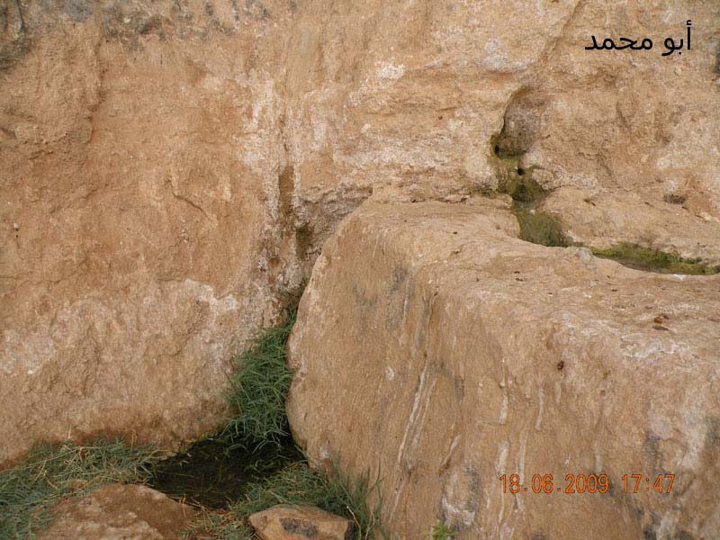 نقره لعرض الصورة في صفحة مستقلة