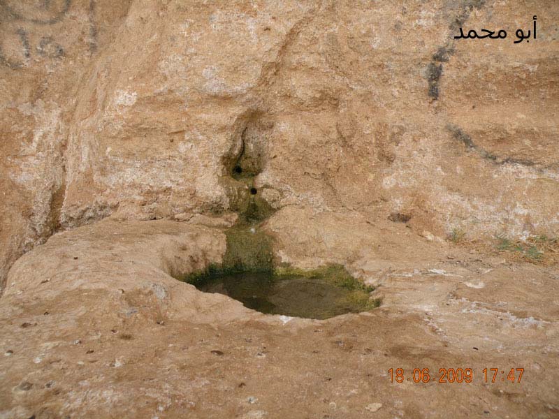 نقره لعرض الصورة في صفحة مستقلة