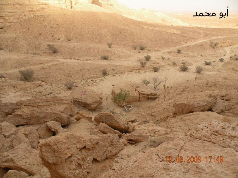 نقره لعرض الصورة في صفحة مستقلة