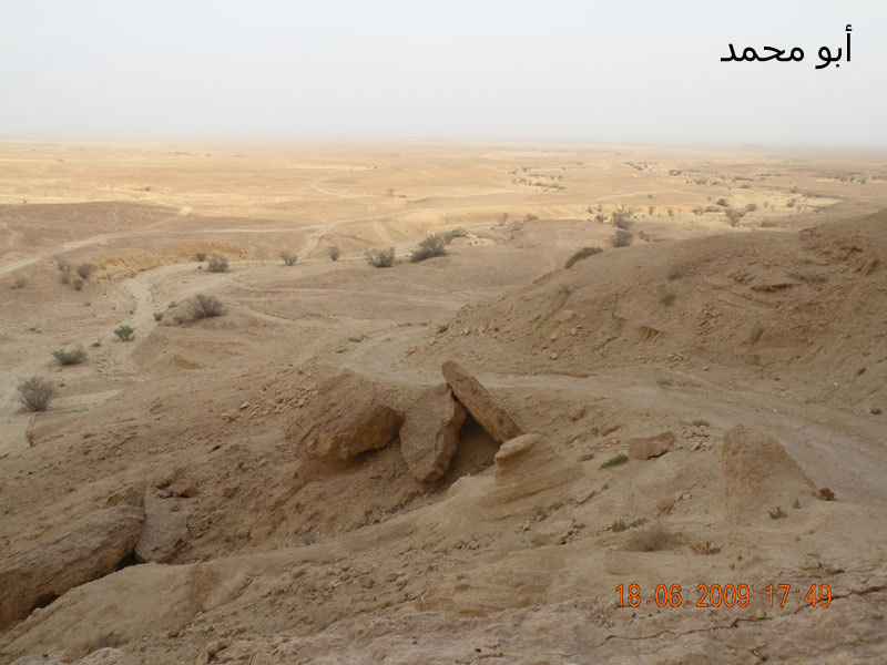 نقره لعرض الصورة في صفحة مستقلة
